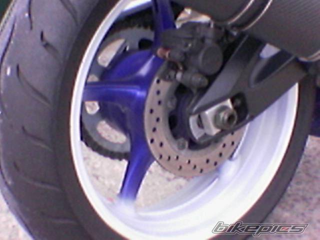 Photo 166361