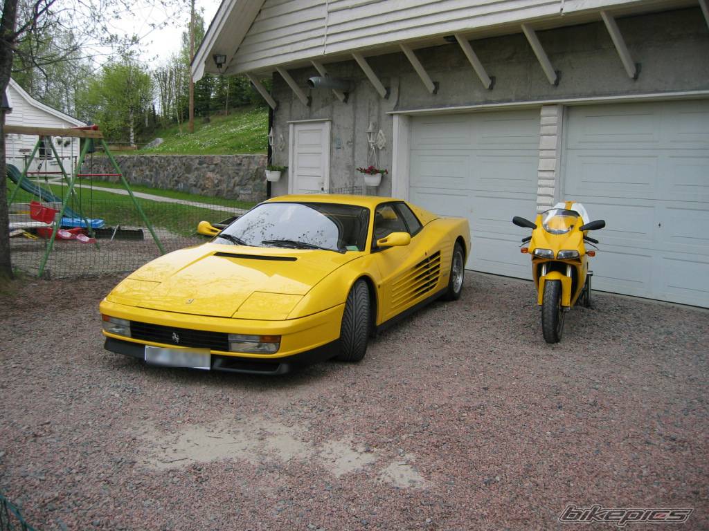 Photo 166366