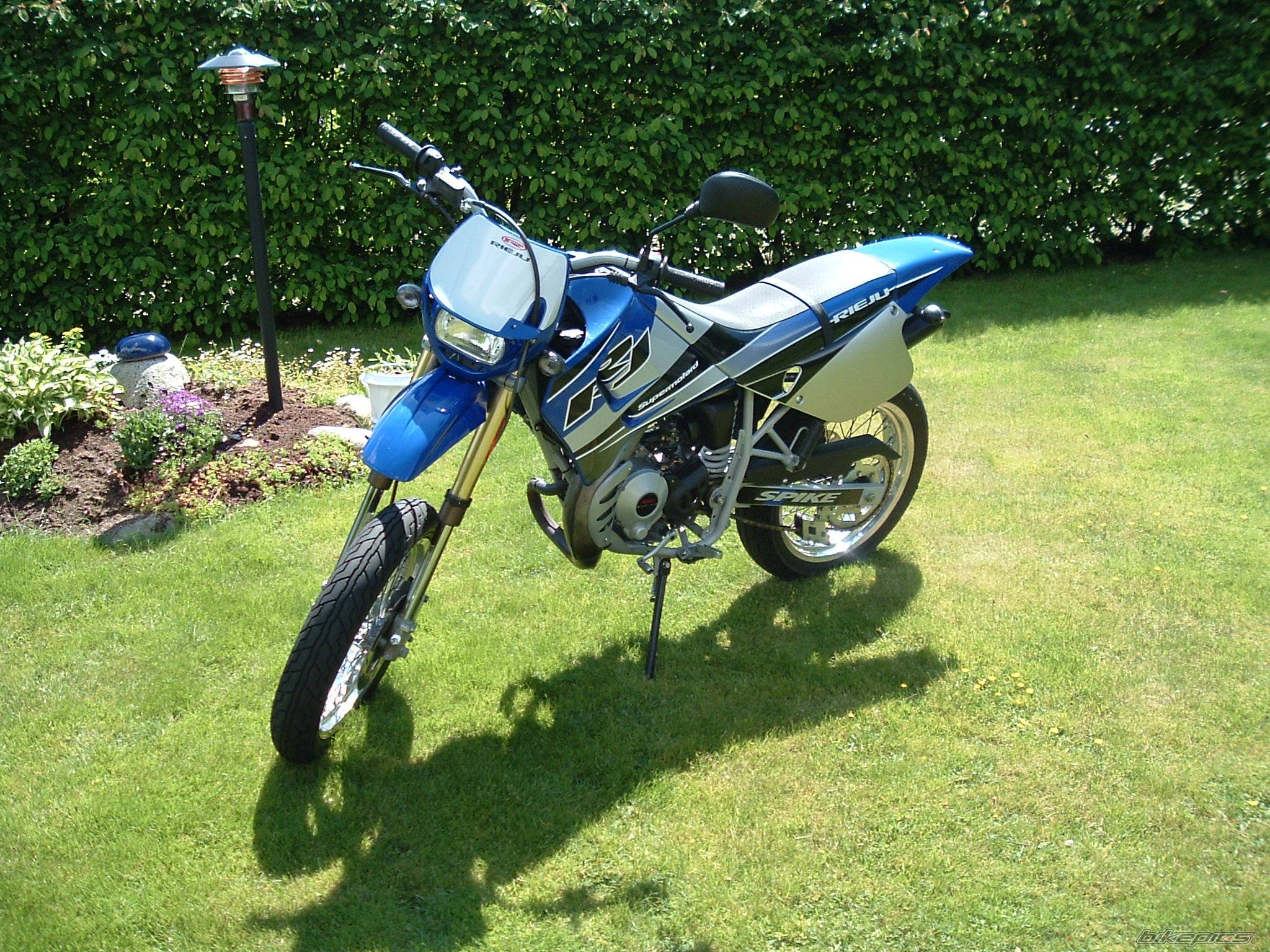 Photo 166367