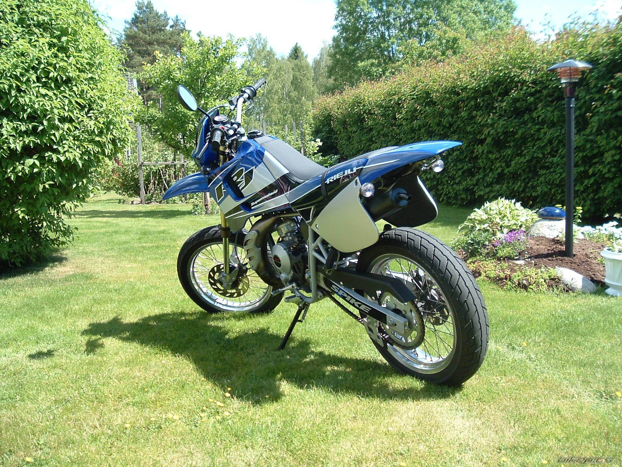 Photo 166369