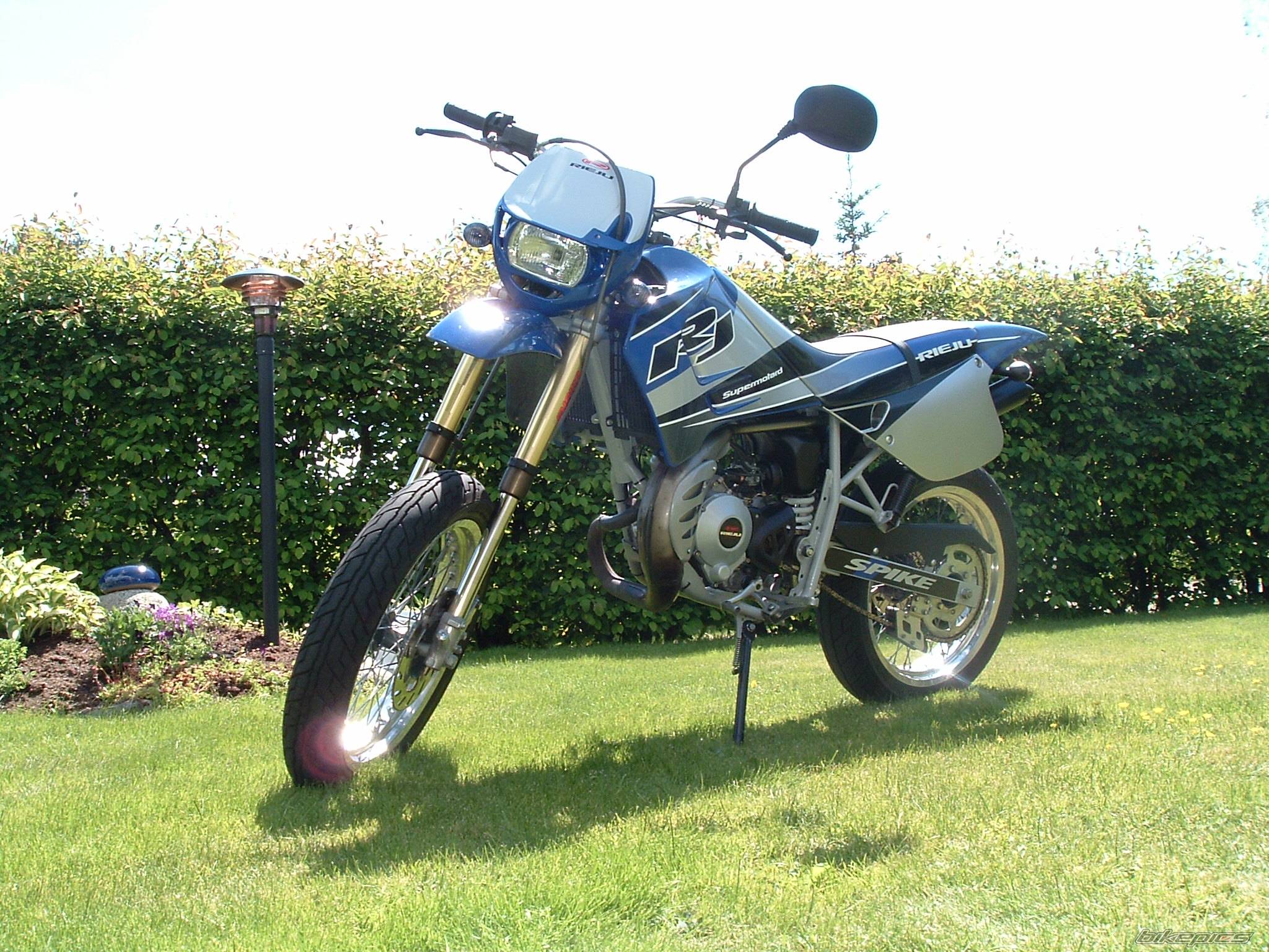 Photo 166370