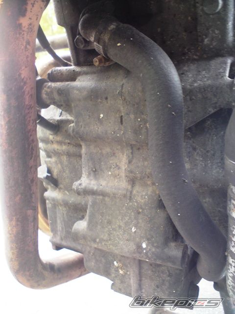 Photo 1663713
