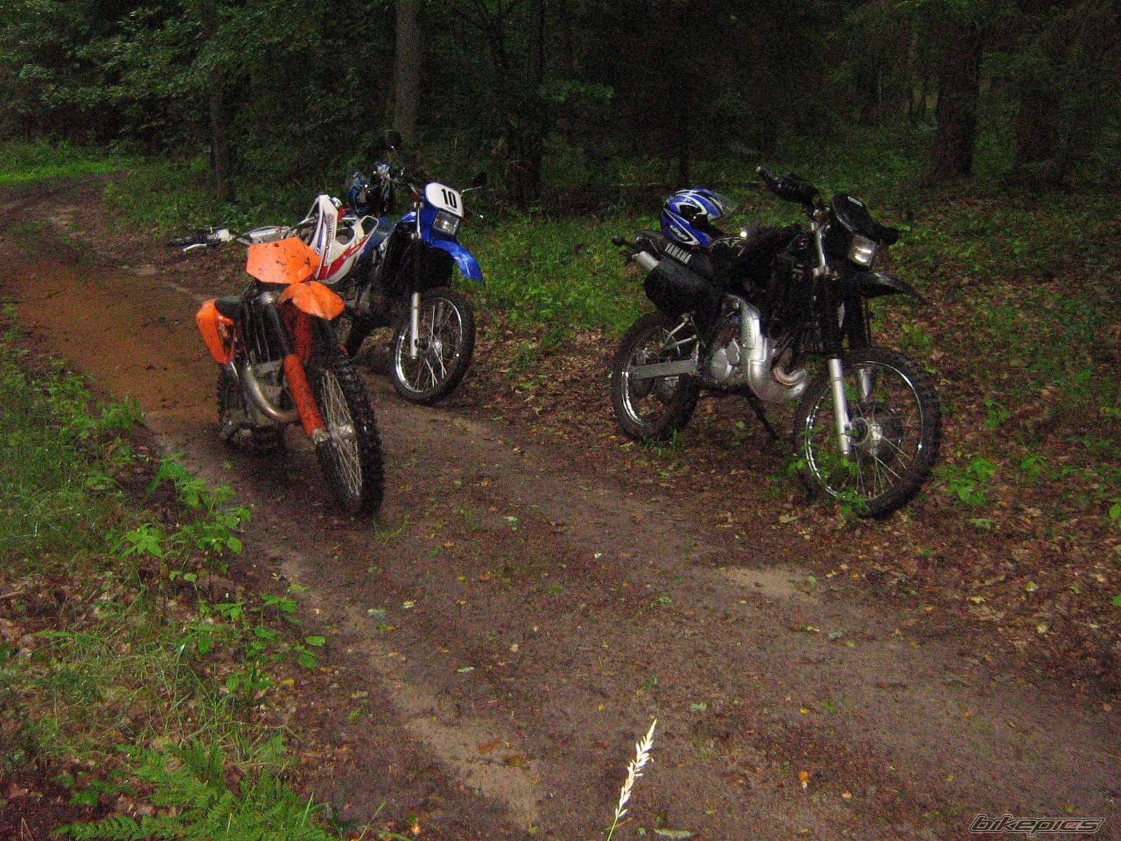 Bike Photo 1663834