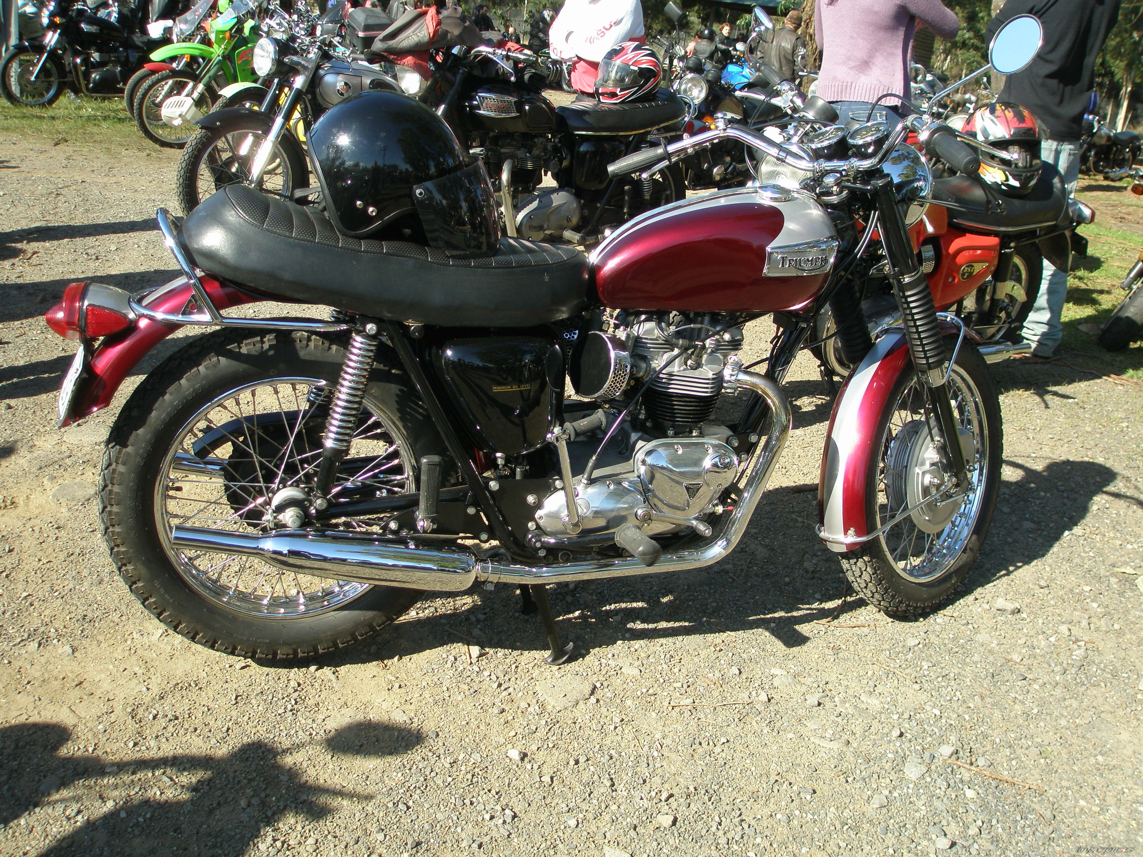 Photo 1663842