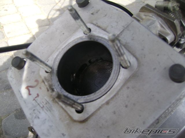 Photo 1664019