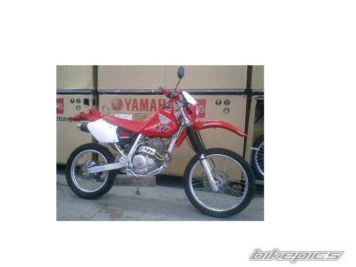 Photo 166409