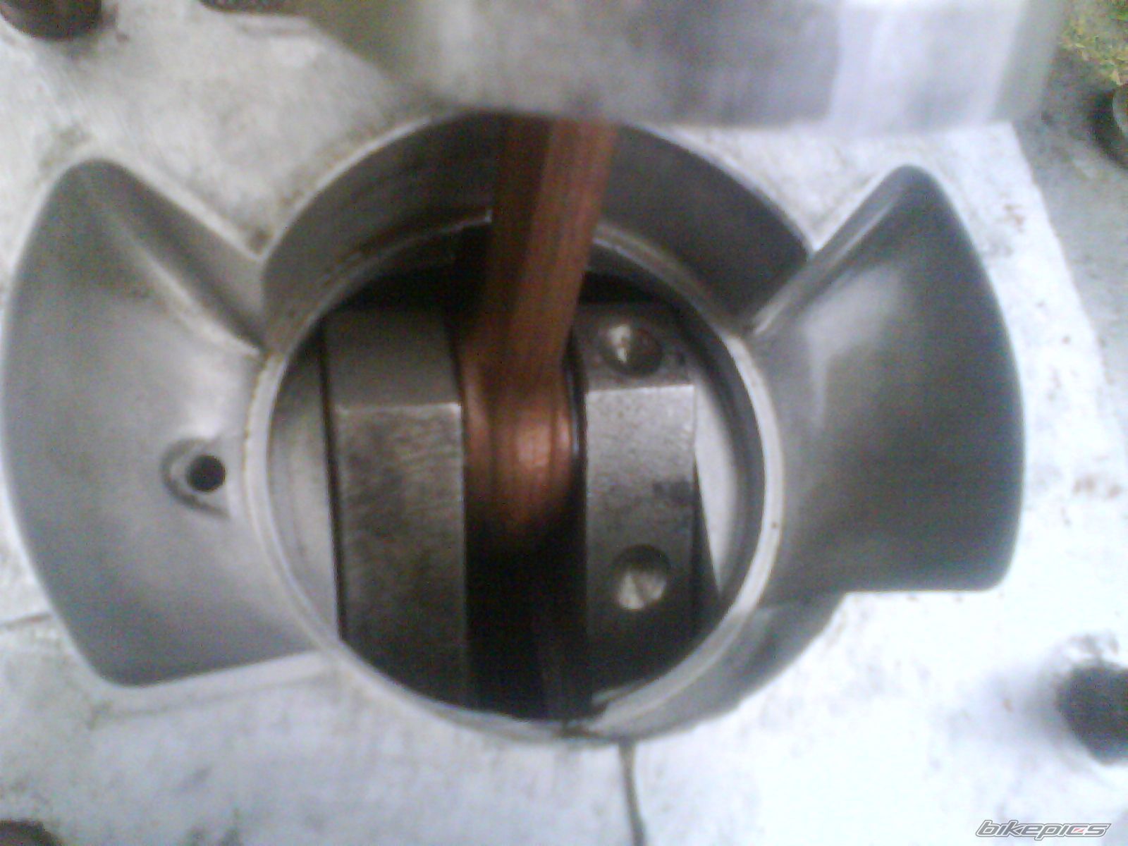 Photo 1664138