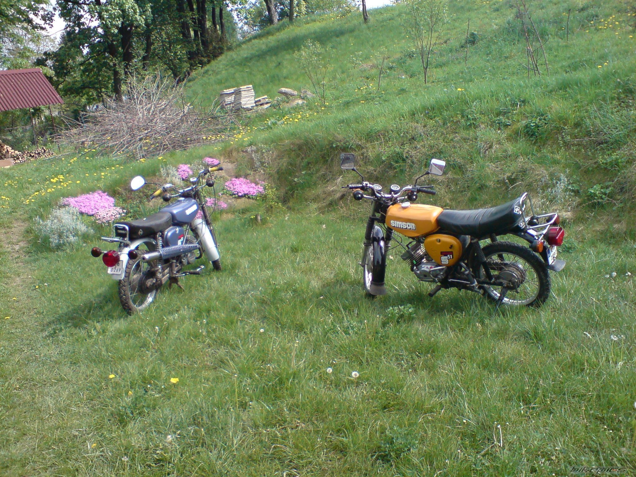 Photo 1664197