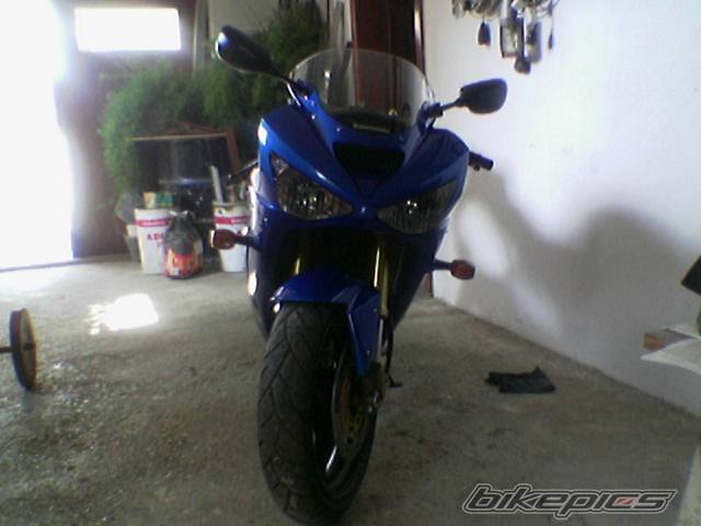 Photo 166452
