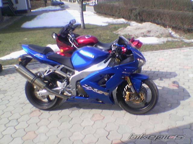 Photo 166455