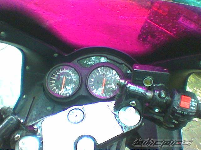 Photo 166474
