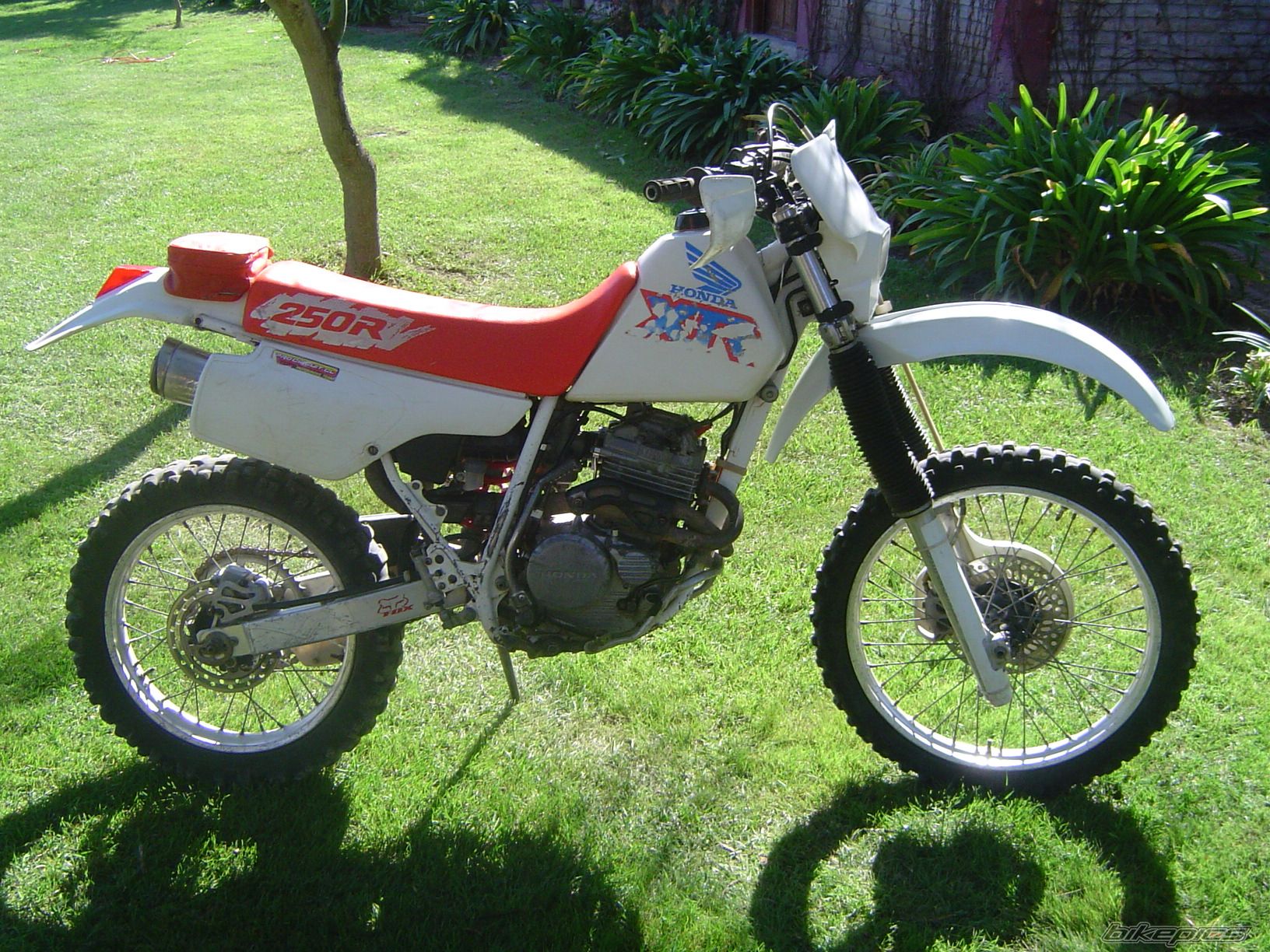 Bike Photo 1664847