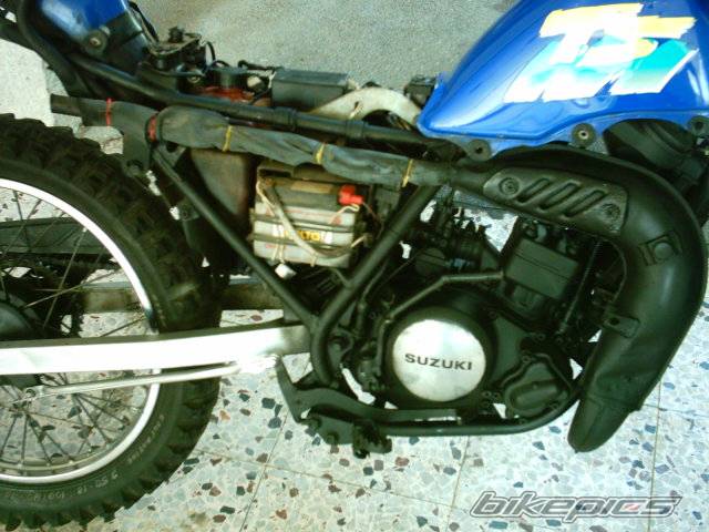 Photo 166501