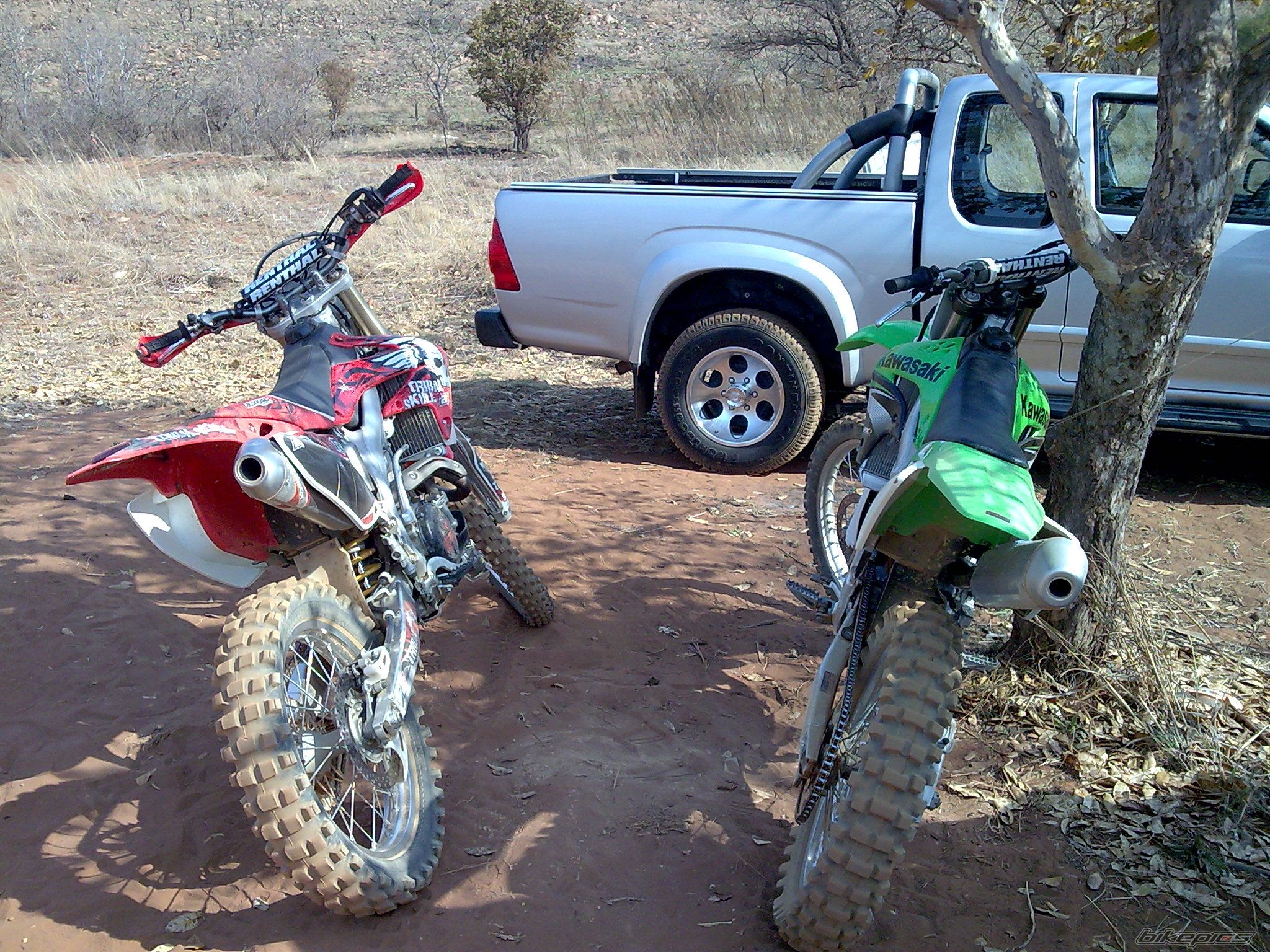 Photo 1665015
