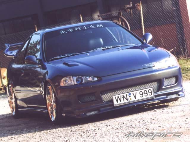 Photo 166507