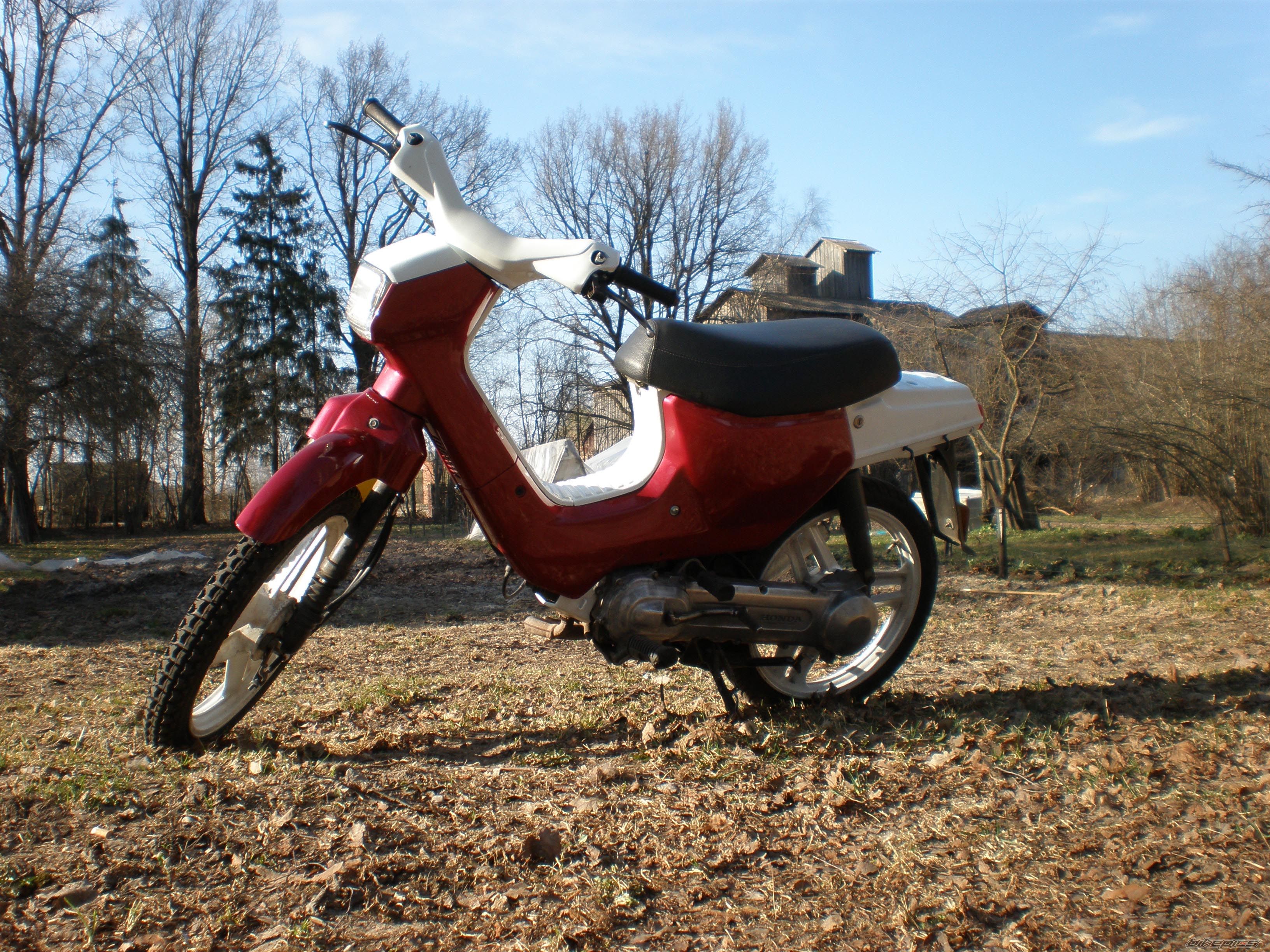 Photo 1665133
