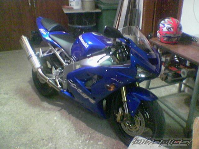 Photo 166517
