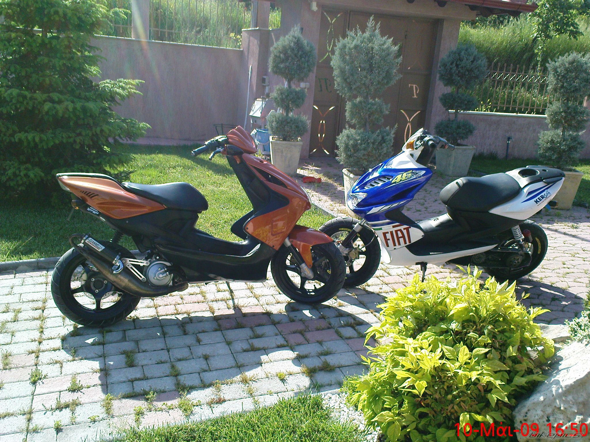 Photo 1665196