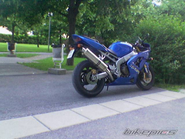 Photo 166520