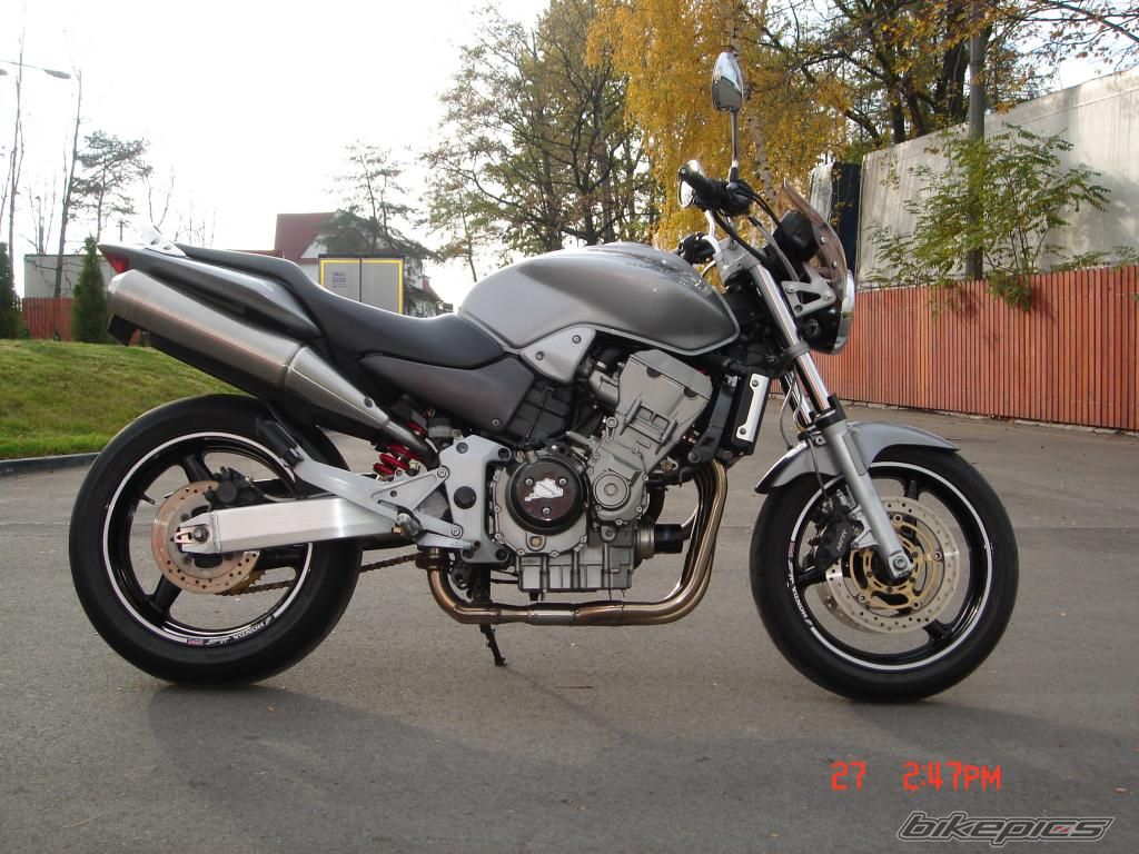 Photo 1665284