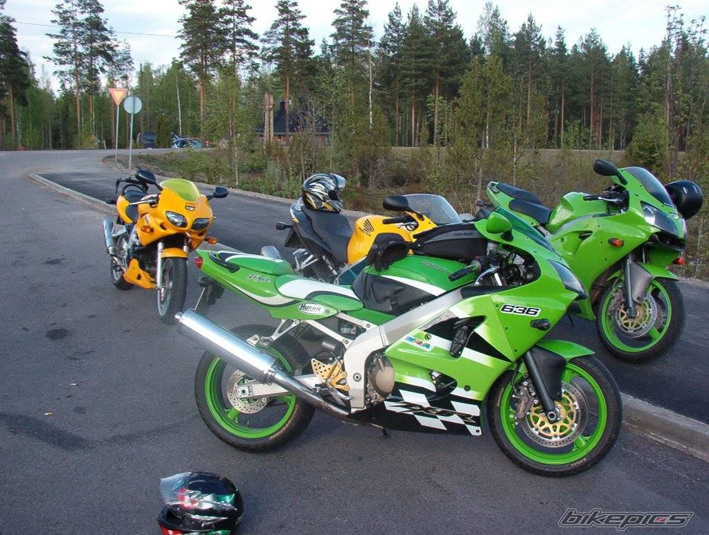 Photo 166542
