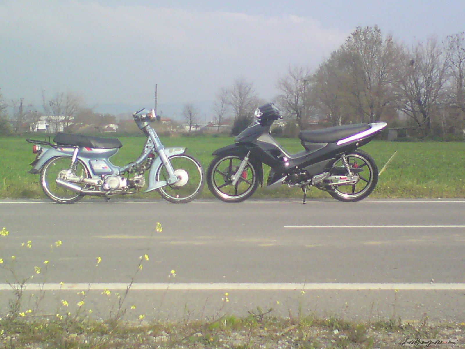 Photo 1665426