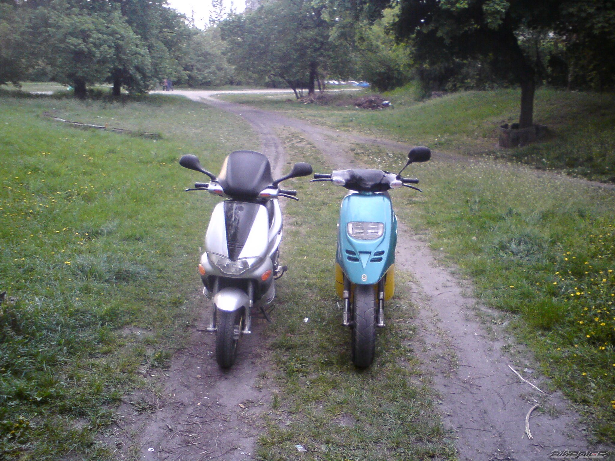 Photo 1665537