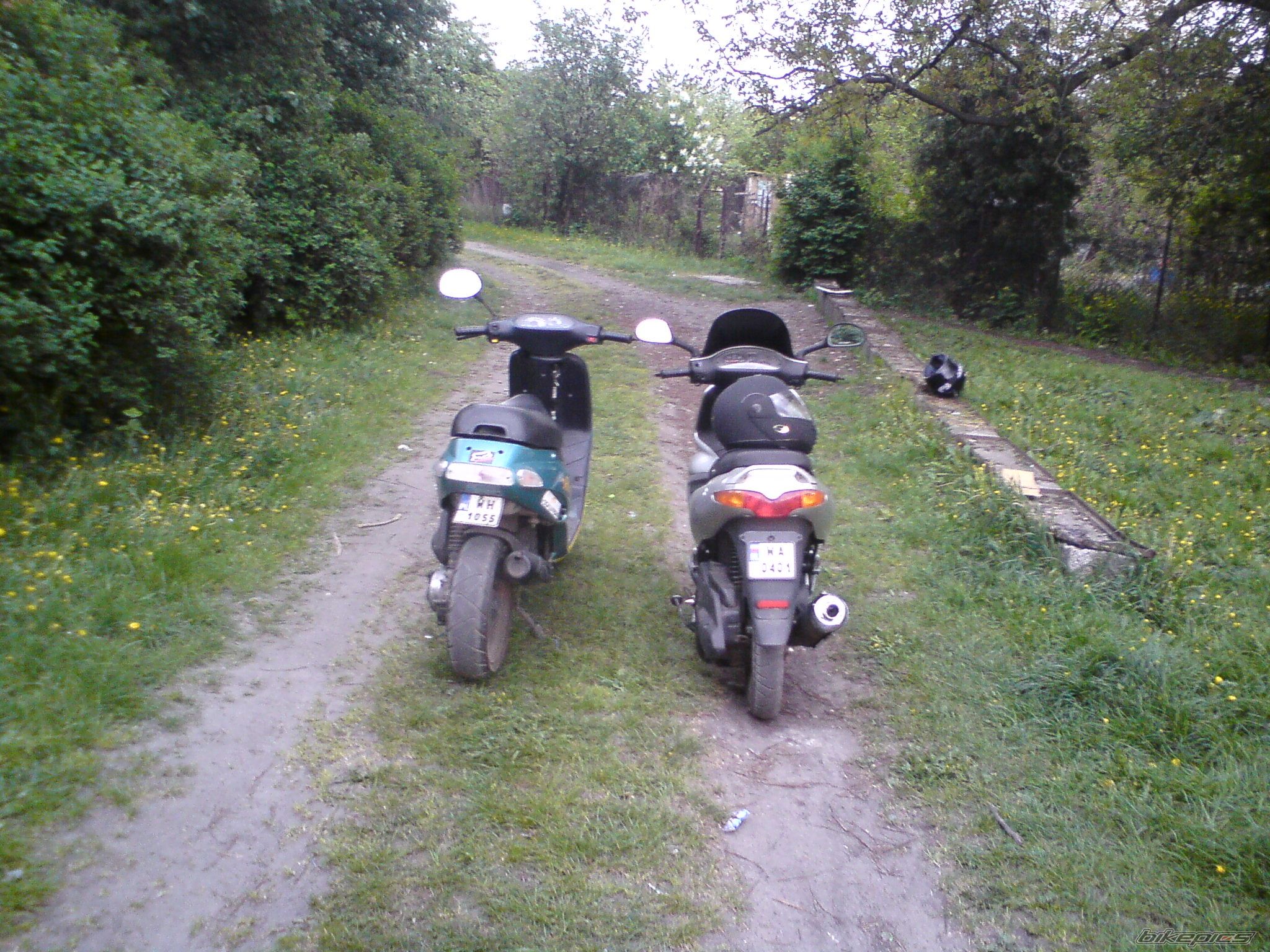 Photo 1665539
