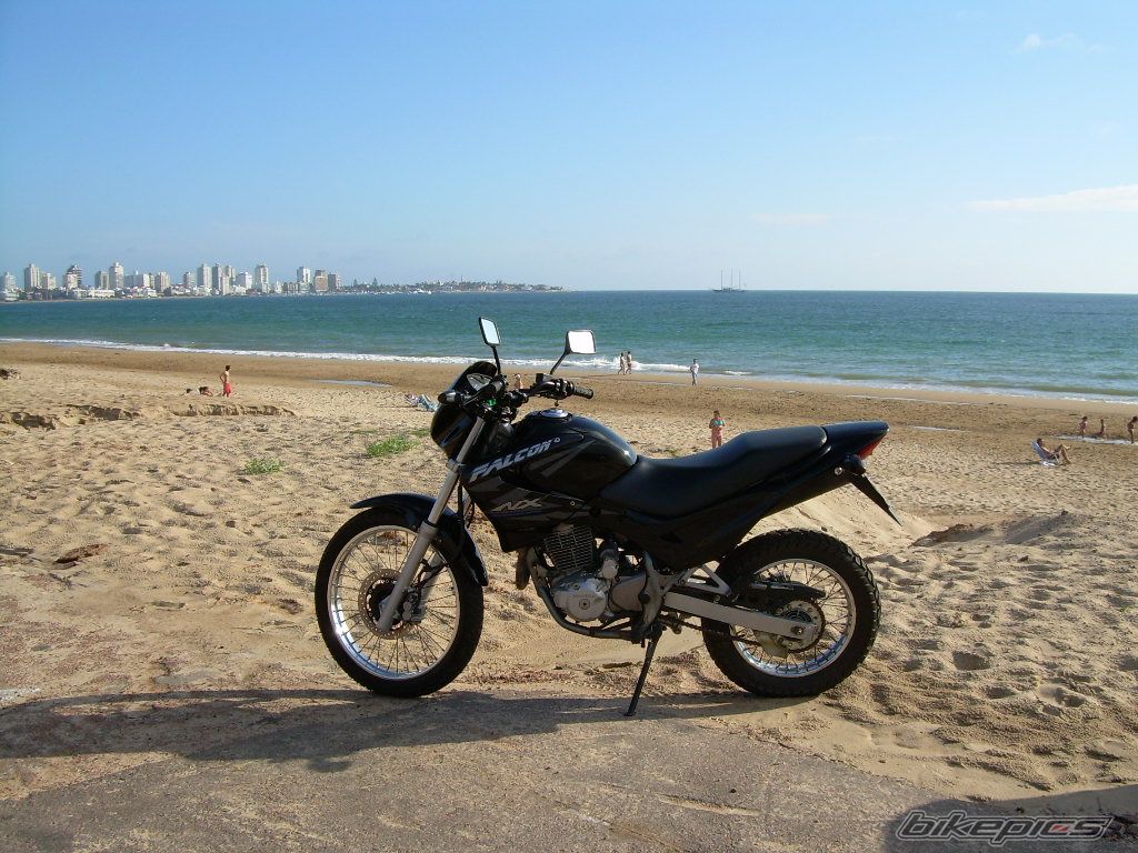 Photo 1665717