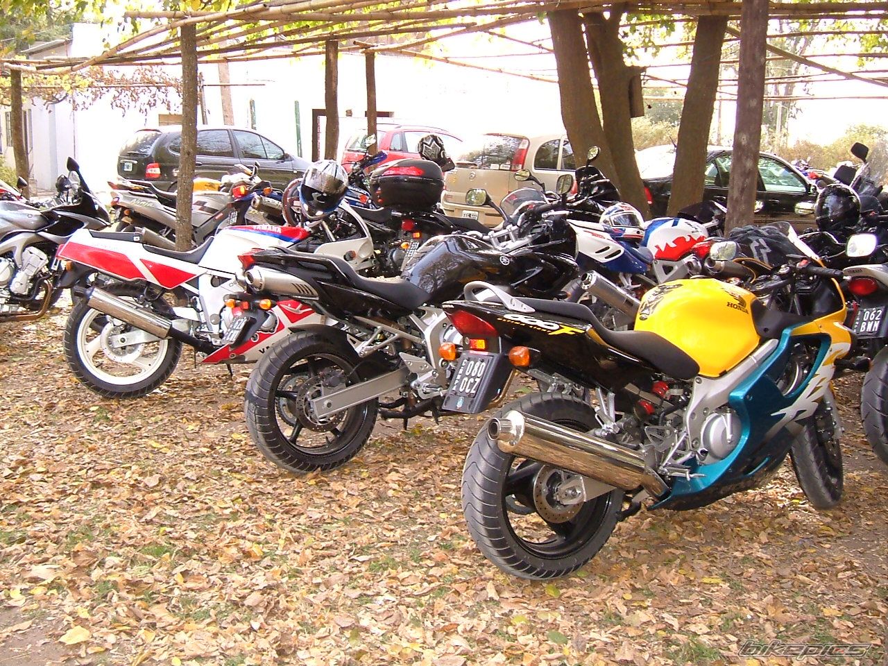 Photo 1665736