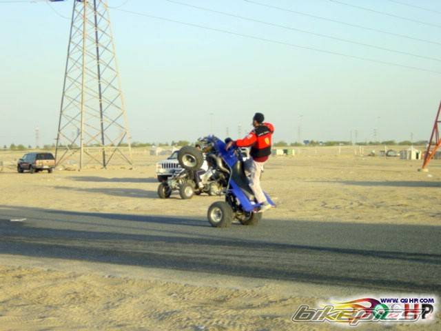 Photo 166575