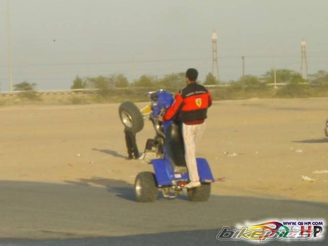 Photo 166577