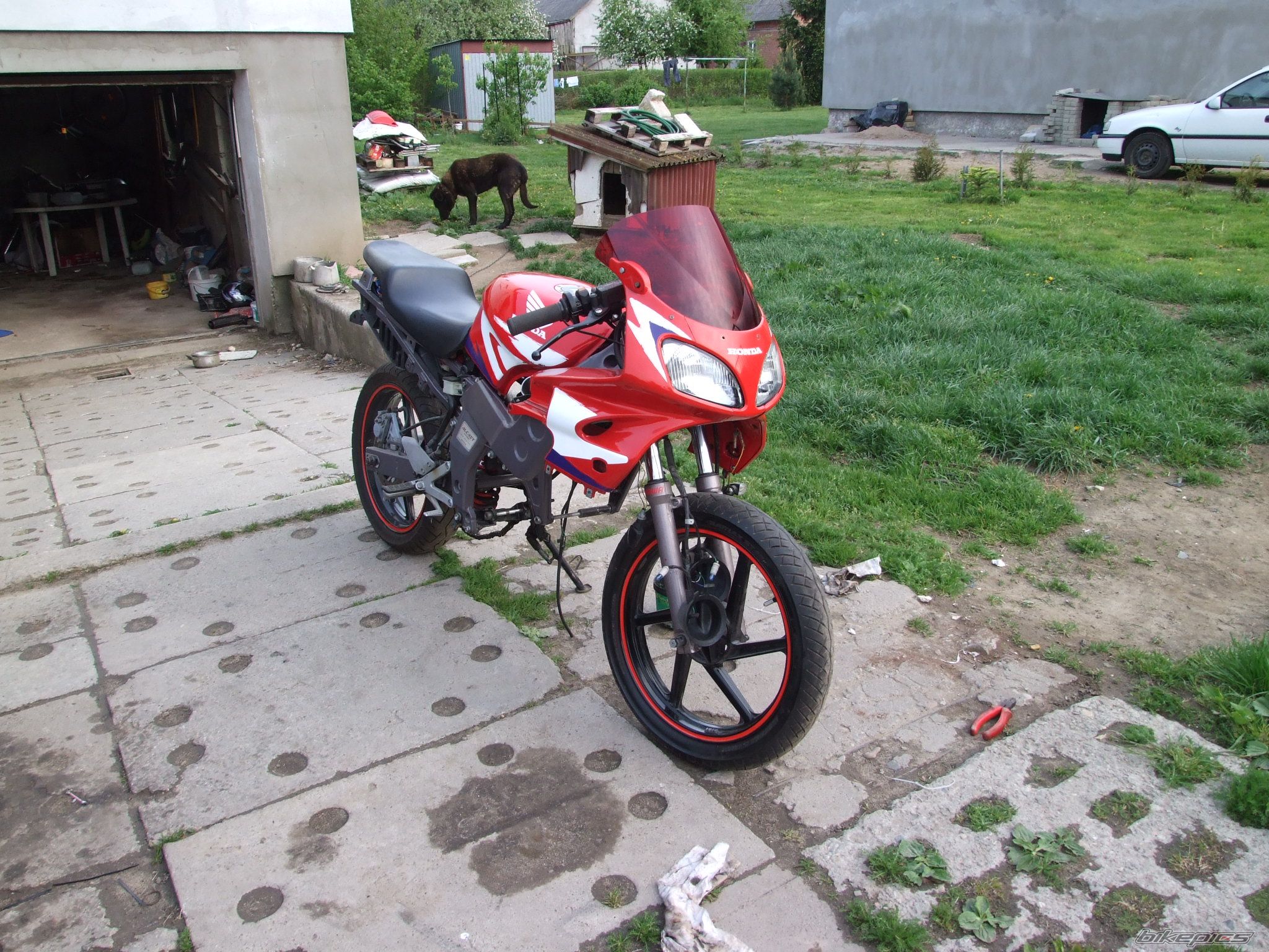 Photo 1665867
