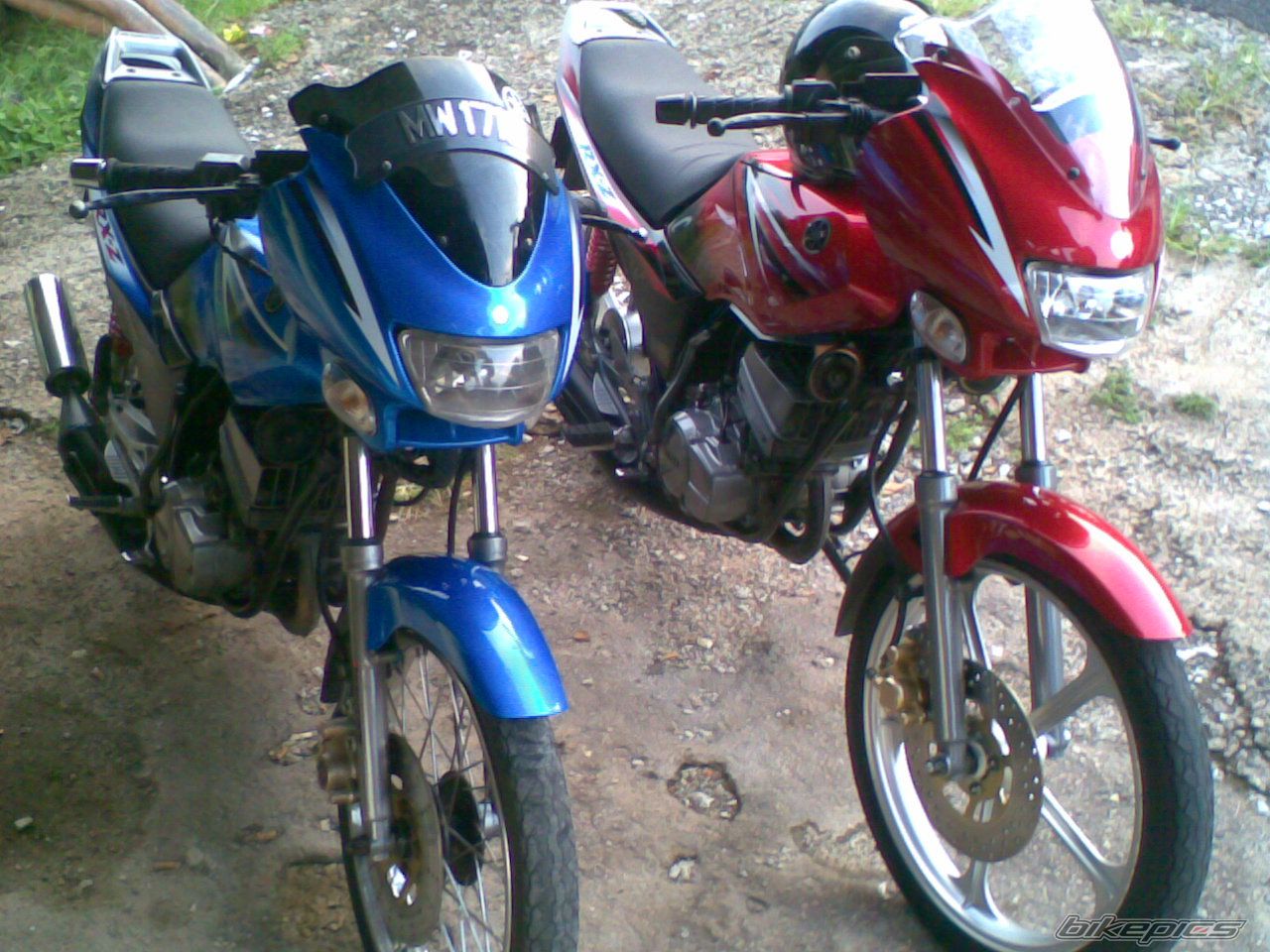 Photo 1665933