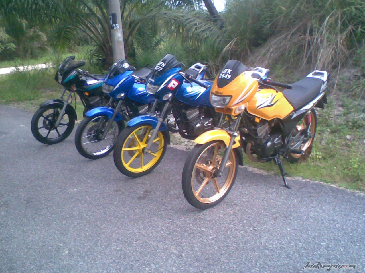 Photo 1665967