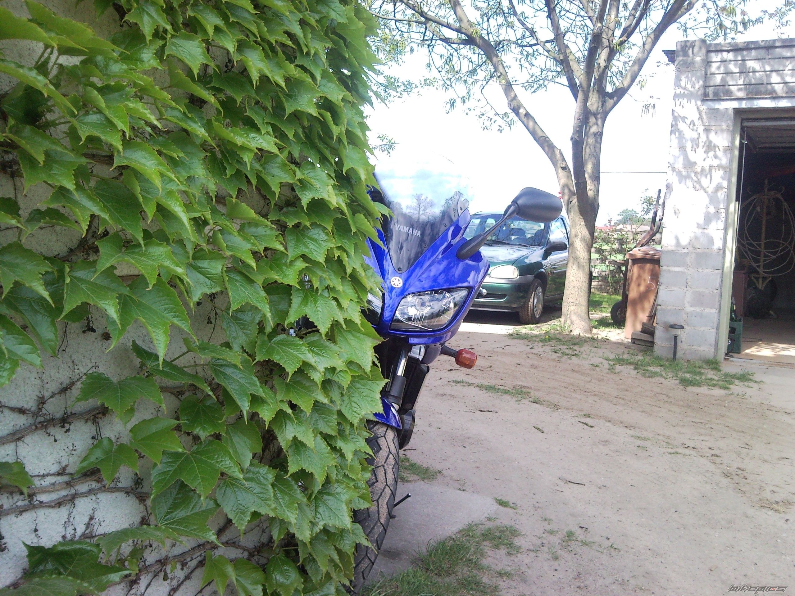 Photo 1665995