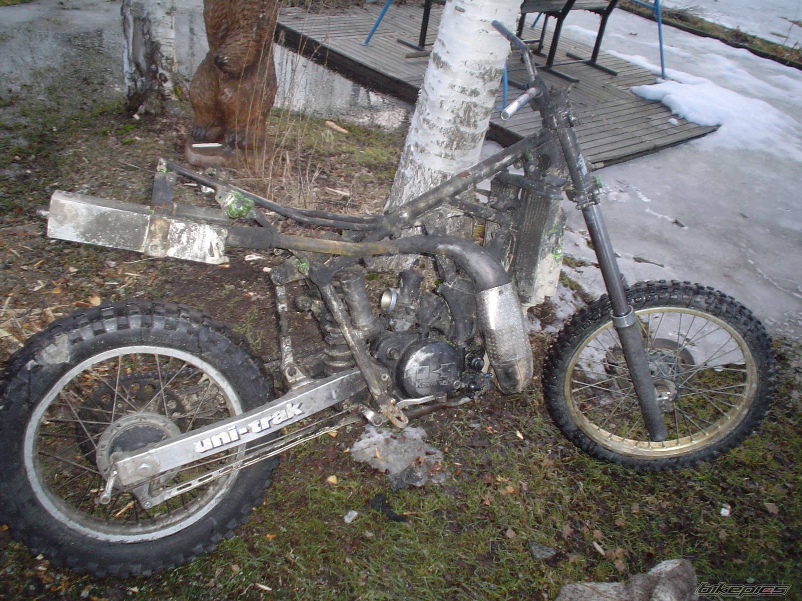 Photo 166609