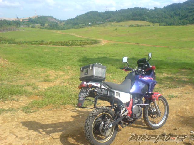Photo 1666124