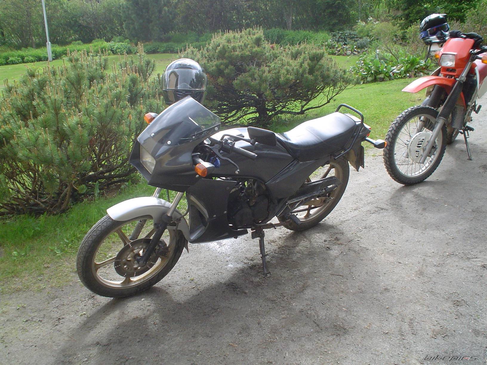 Photo 166618