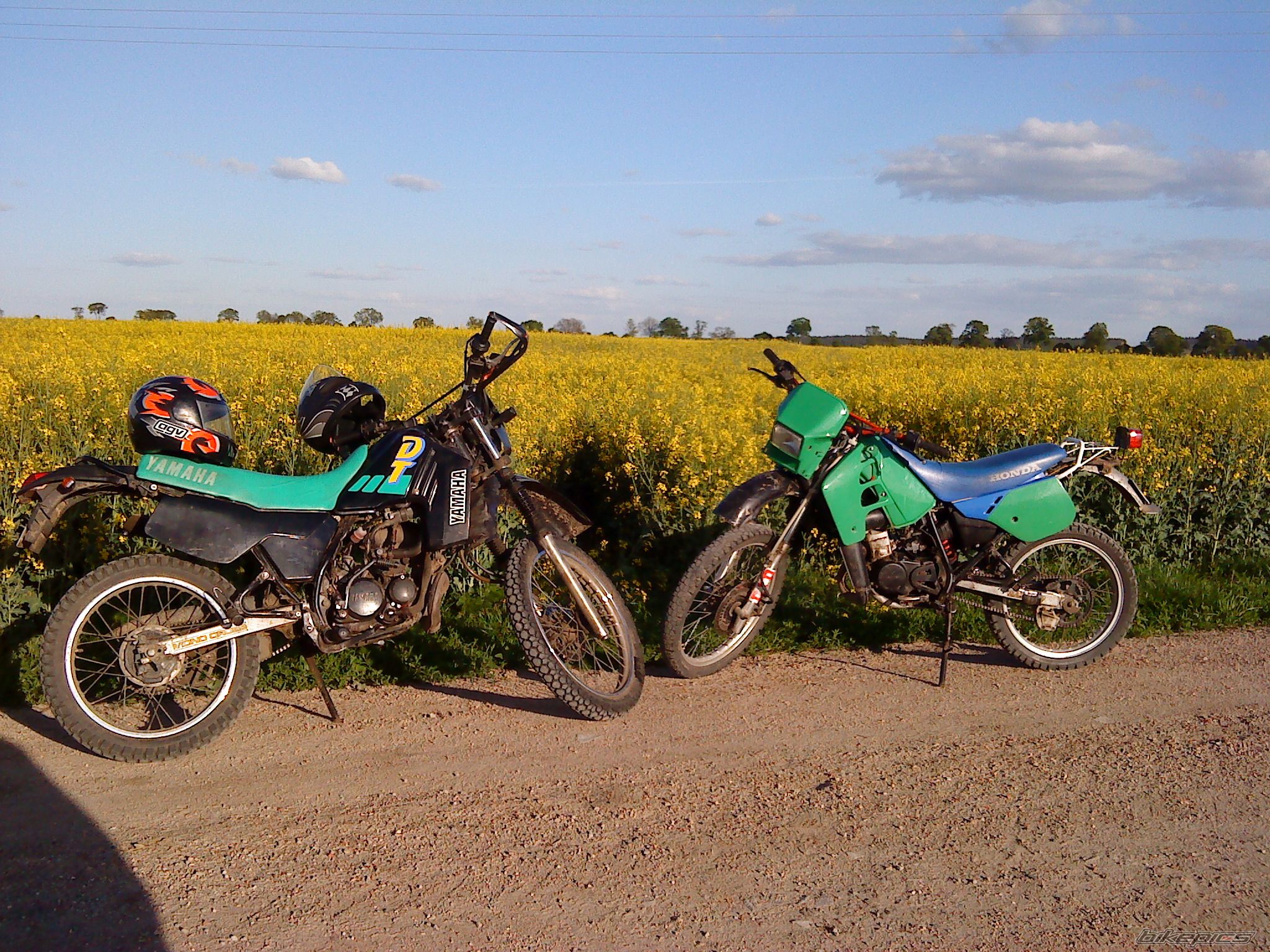 Photo 1666186