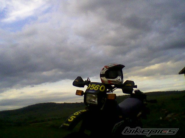 Photo 1666187