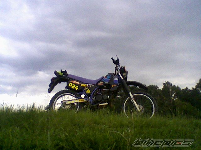 Photo 1666191