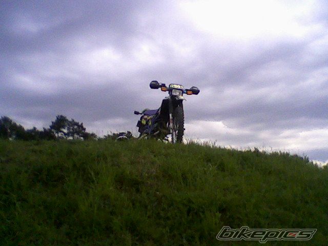 Photo 1666192
