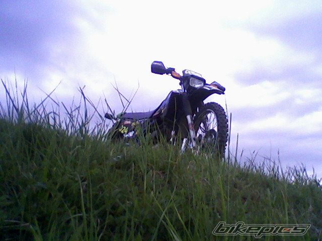 Photo 1666193