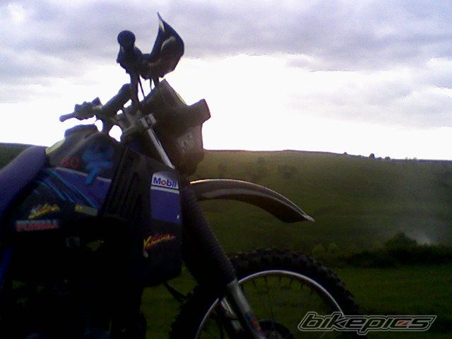 Photo 1666194