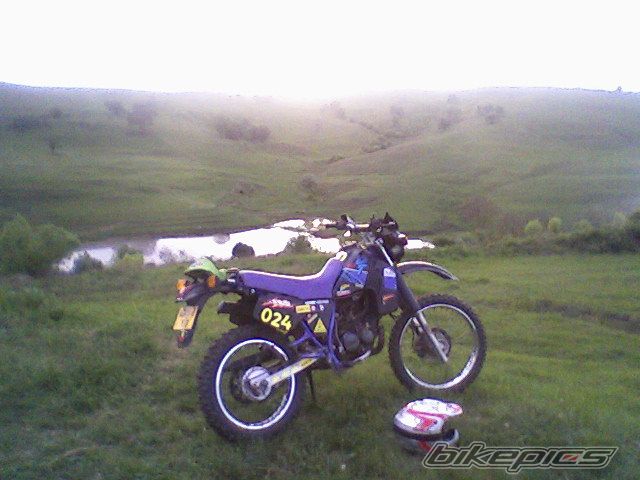 Photo 1666195