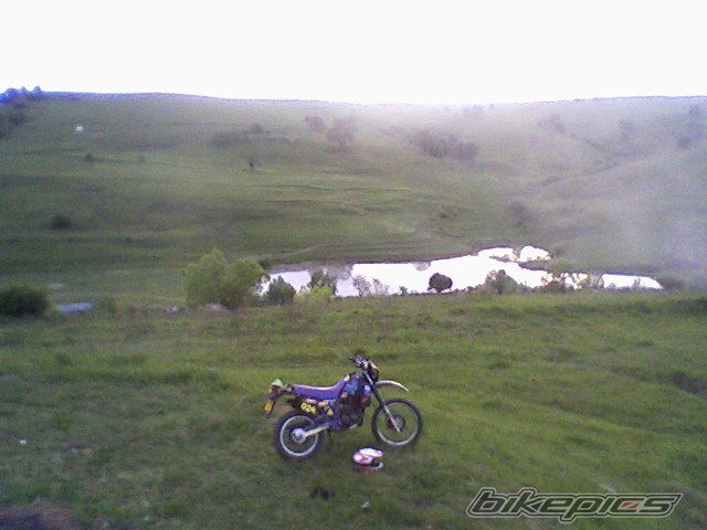 Photo 1666197