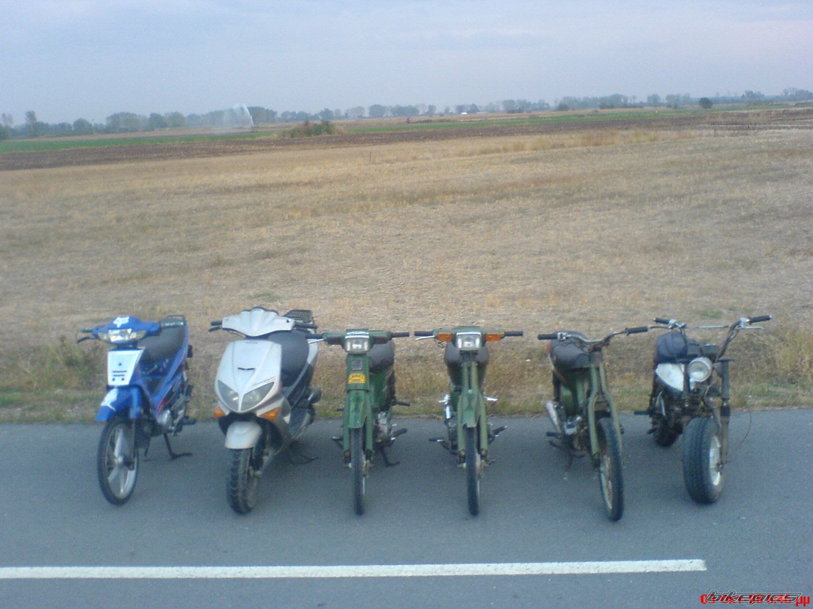 Photo 1666280