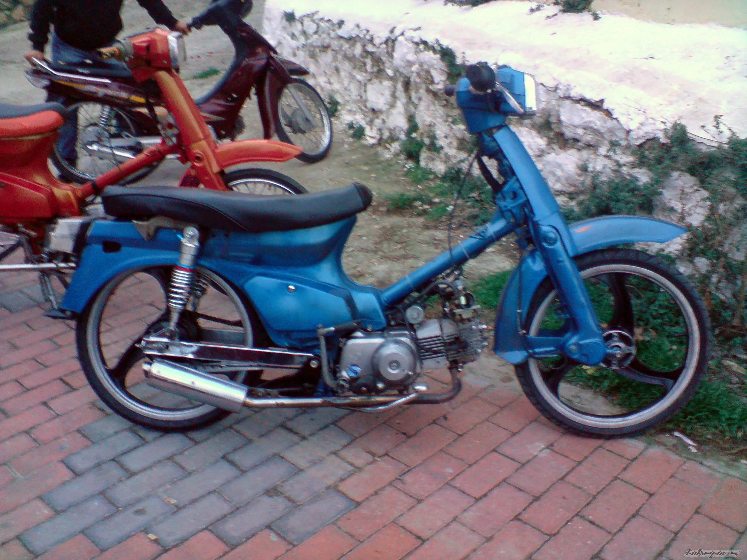 Photo 1666306