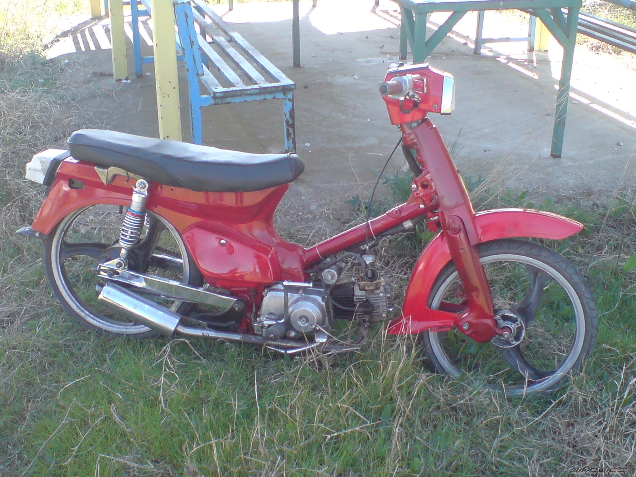 Photo 1666308